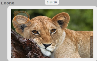 full-screen responsive slideshow