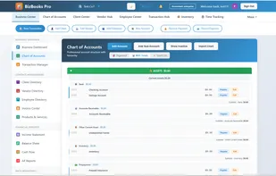 BizBooks Pro screenshot 1