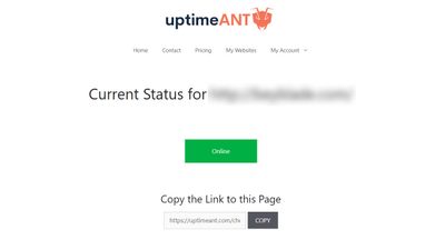 An example of a status page for a domain. This allows your customers (should you choose to link this page) to check up on the status of your site and see if the problem is being dealt with.