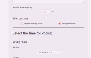 The start screen displaying the duration slider for the voting phase and a few other options to start the process.