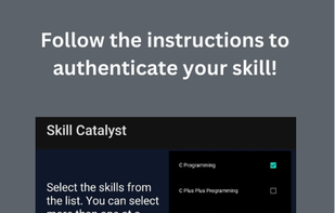 Skill Catalyst screenshot 1