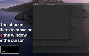 Moves for macOS screenshot 1
