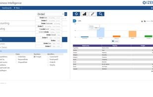 Izenda screenshot 1