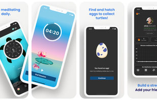 Shellevate screenshot 1