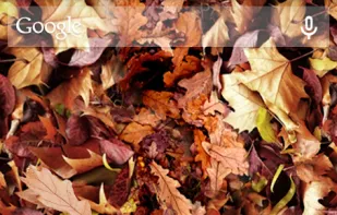 Autumn Leaves 3D Live Wallpaper screenshot 1