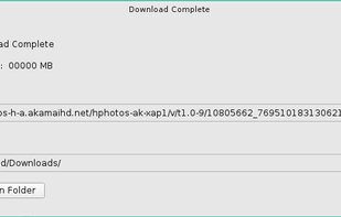 Linux Download Manager screenshot 2