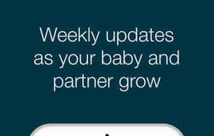 The Big Daddy screenshot 2