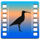 Curlew icon