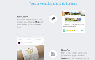 Crowdsite.com screenshot 1