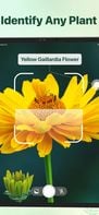 Plant identifier - Find Insect screenshot 1