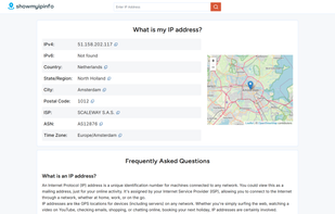ShowMyIPInfo screenshot 1