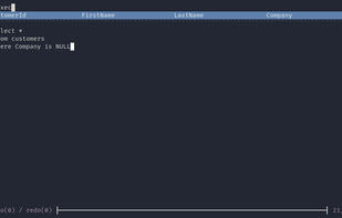 Termdbms screenshot 1