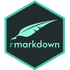 R Markdown icon