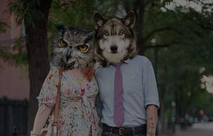 Animal Heads screenshot 1