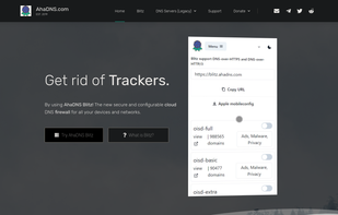 Homepage at https://ahadns.com