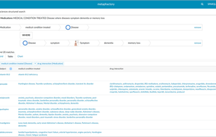 metaphactory screenshot 2