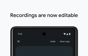 Google Recorder screenshot 3