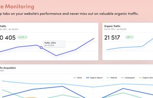SEO-GO Website Monitoring