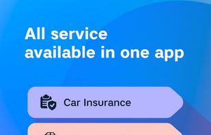 VIN Auto Checker screenshot 2