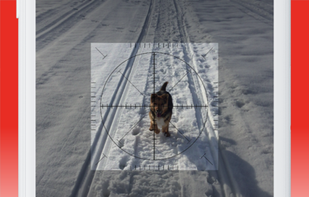 Smart Tools - All In One screenshot 1