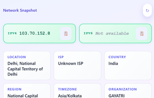 Network Snapshot” panel from What’s My IP Live showing the user’s IPv4 address with supporting details like location (Delhi, India), ISP, region, timezone (Asia/Kolkata), country and organization in clean info cards.
