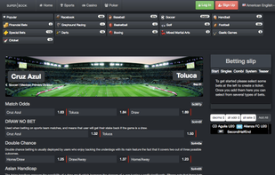 White Label Sportsbook screenshot 2