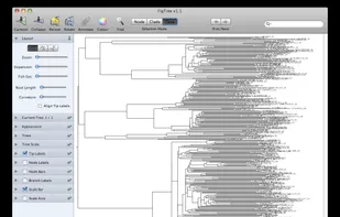 FigTree screenshot 1