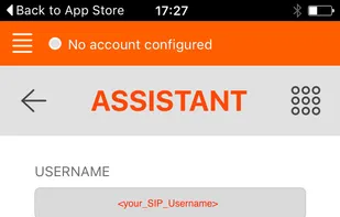 iOS Assistant form