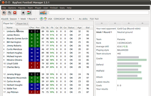 Bygfoot Football Manager screenshot 2