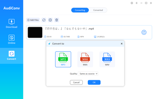 AudiConv screenshot 2