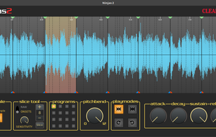 Ninjas2 screenshot 2
