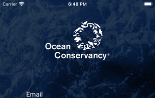 Clean Swell screenshot 2