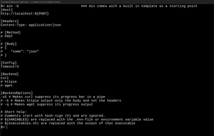 Screenshot displaying the built in starter template in ain