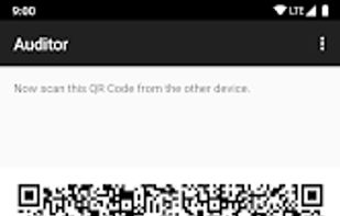 GrapheneOS Auditor screenshot 2