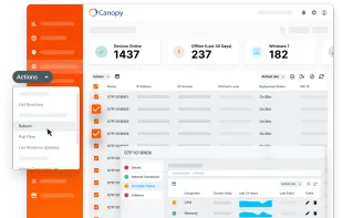 Canopy RMM screenshot 1
