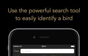 Collins Bird Guide screenshot 2
