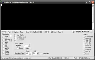 RealTerm screenshot 1