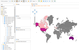Ranet OLAP screenshot 3