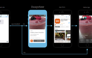 Branch Metrics screenshot 2