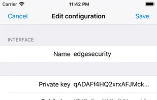 The Wire Surfer screenshot 2