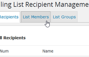 WP Mailster screenshot 2