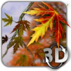 Autumn Leaves in HD Gyro 3D icon