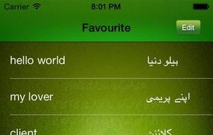 Urdu English Transator