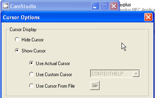 Cursor options