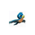 Falcon (Search Engine) icon