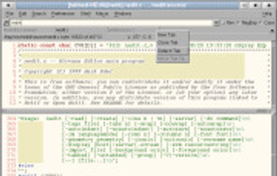 The tabbed window interface