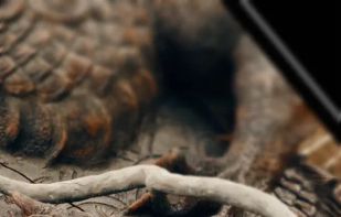 (Not Boring) Camera screenshot 1