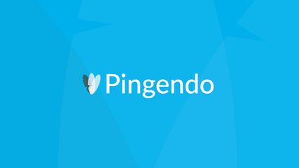 Pingendo - social banner