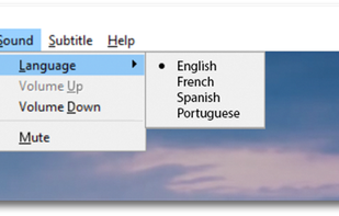 Fluendo OnePlay DVD Player screenshot 2