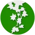 Ivy (Sidebar, Widgets, RSS) icon